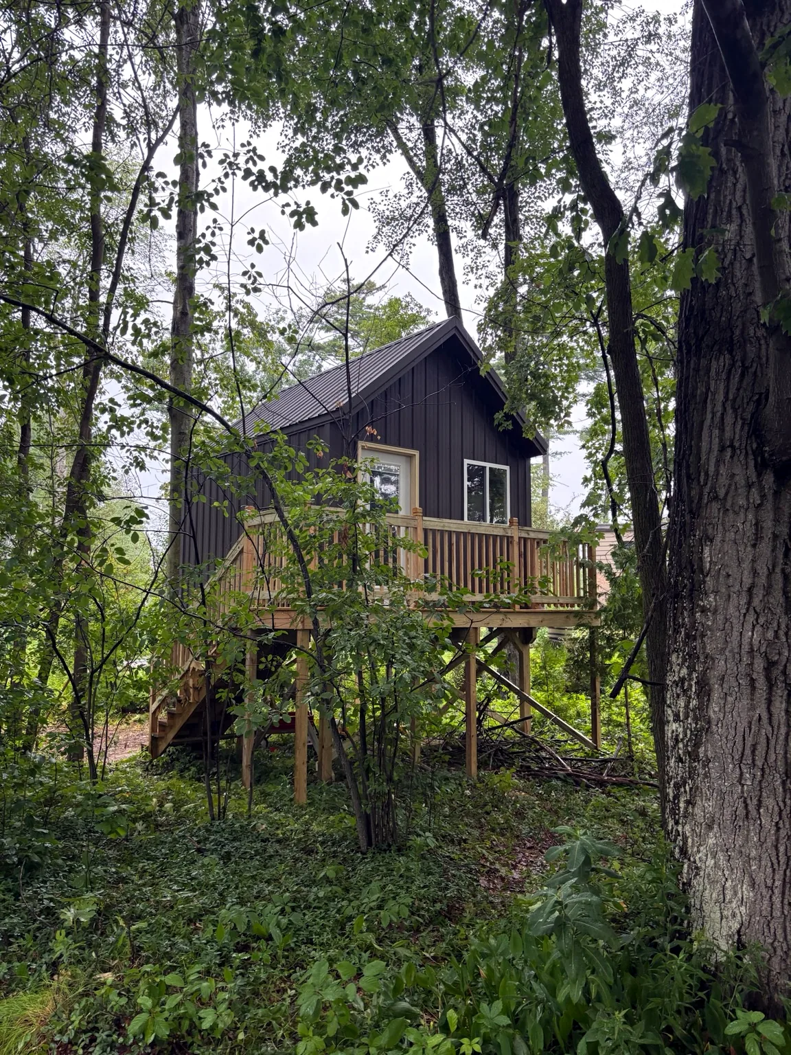 Elevated custom woodland structure